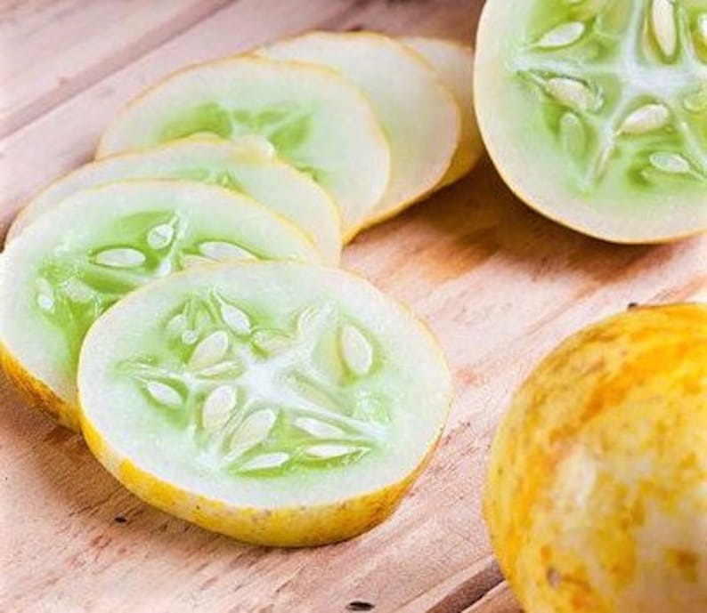 Lemon Cucumber Fun Cute Sweet Organic Non-GMO 10 SEEDS #2139