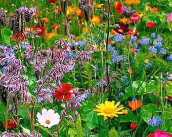 Wildflower Mix 20 Different Flowers 200 Seeds Great for Cutting Perennial #1174