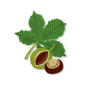 Może przedstawiać: Zielony liść z trzema listkami i dwie brązowe kasztany, z których jeden jest otwarty, ukazując brązowe nasiono w środku.