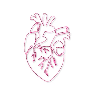 ANATOMISCHES HERZ Maschinenstickerei Design 7'6'5'4'2,5' Medizinisches Herz Stickmuster Maschinenstickerei Design Herz Pes Herz Stickerei