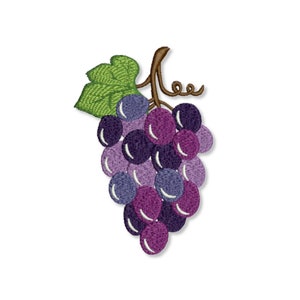 May include: A bunch of purple grapes with green leaves and a brown stem.