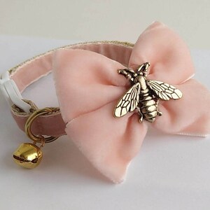 Cat collar. Cat collar Breakaway. Kitten collar.Puppy collar. Bow tie.Chihuahua collar.Luxury velvet collar/Collar Breakaway/Non-Breakaway