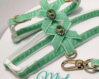 Mint cat harness with two chic mini bows./Mini dog velvet harness with crystal/Harness with a leash/Ammunition cat/Walk with a cat or dog.