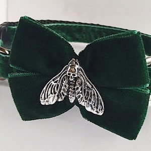 Moth dead head cat collar/Gothic cat collar/Dog collar/Goth dark green cat collar/Velvet Gothic bow collar/Breakaway/Non-Breakaway