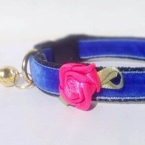 Blue Velvet cat collar. Cat collar. Kitten collar. Puppy collar. Chihuahua collar. Collar with flower. Breakaway or Non-Breakaway buckle