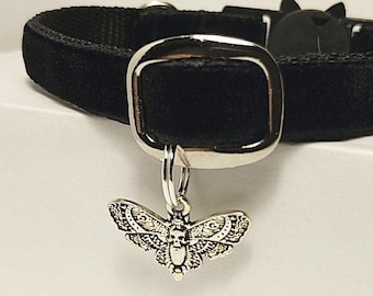 Death's Head Moth - cat collar with pendant/black velvet cat collar/esoteric collar/Mystical gothic witch cat collar/Breakaway/non-Breakaway