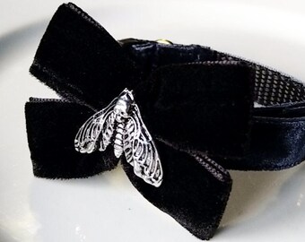 Moth Velvet Bow Cat Collar: Gothic Kitten Collar, Breakaway Buckle