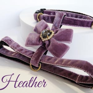 Heather cat set-cat harness with leash/Velvet harness with bow heart crystal/Harness with a leash-Ammunition cat or small dog