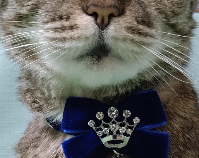 Crown- Royal cat collar/Queen cat collar/Victorian blue collar/Bow with crown for pet/Breakaway/Non-Breakaway buckle