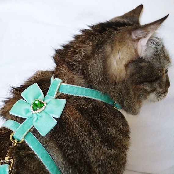 Velvet Cat Harness With Bow Leash, Crystal Detail, Small Dog