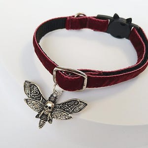 Peut inclure: Un collier pour chat en velours bordeaux avec une boucle en métal argenté et un fermoir noir en forme de chat. Le collier est orné d'un pendentif argenté en forme de papillon avec un crâne.