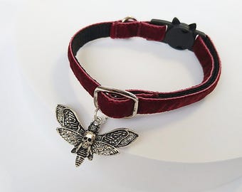Cat locket Death's Head Moth - cat collar with pet locket/black velvet cat collar/Mystical gothic witch cat collar/Breakaway/non-Breakaway