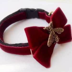 Luxury Cat Bow Tie: Golden Fly, Handmade Pet Collar Accessory image 7