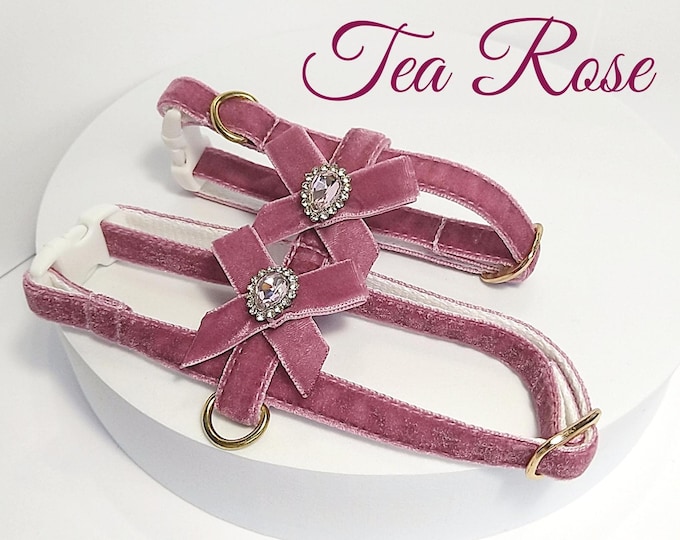 Cat harness- Tea Rose /Crystal cat Harness/Harness with leather/Chihuahua harness/Mini dog harness with crystal/Ammunition cat/