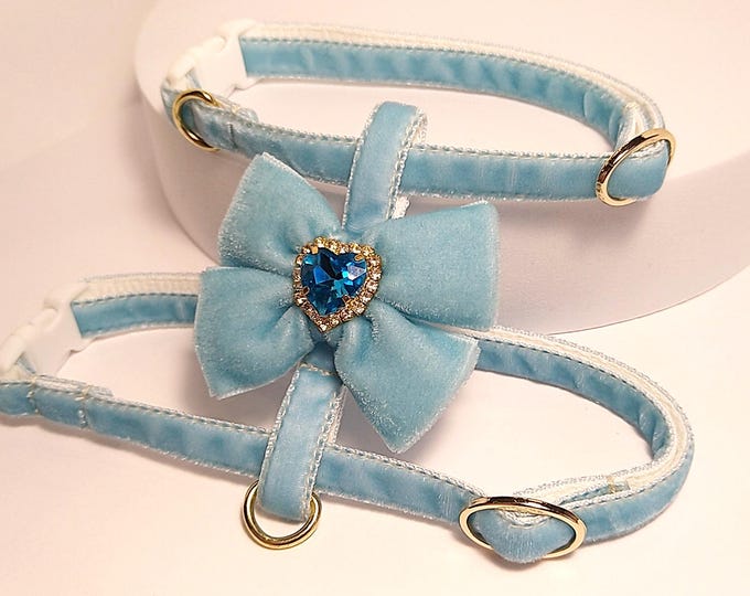 Sky blue cat harness with bow/Small dog harness with crystal/Velvet cat harness/Harness with a leash/Ammunition cat/Walk with a cat or dog.