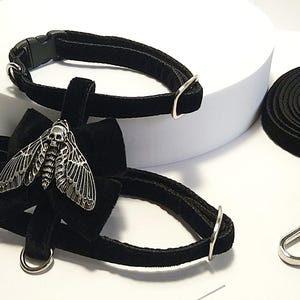 May include: Black velvet pet collar and harness set with a silver moth pendant. The set includes a matching leash with a silver clasp. The collar and harness have silver metal hardware.