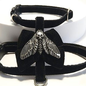 May include: Black velvet pet collar and harness set. The harness features a silver-colored moth pendant with a skull design. The set includes a matching collar with silver-colored hardware and a D-ring. The background is white.