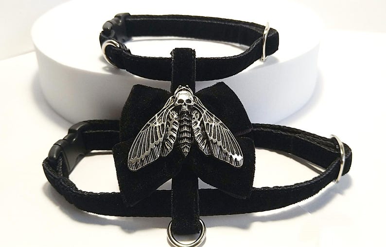 May include: Black velvet pet collar and harness set. The harness features a silver-colored moth pendant with a skull design. The set includes a matching collar with silver-colored hardware and a D-ring. The background is white.