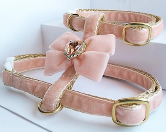 Light peach cat harness with bow/Small dog harness with crystal/Velvet harness/Harness with a leash/Ammunition cat/Walk with a cat or dog.