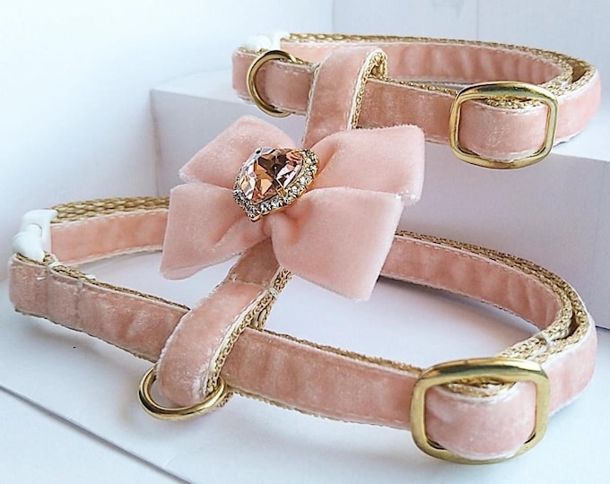 Light peach cat harness with bow/Small dog harness with crystal/Velvet harness/Harness with a leash/Ammunition cat/Walk with a cat or dog.