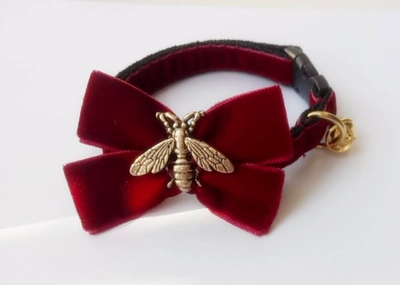 May include: A burgundy velvet bow tie with a gold bee charm. The bow tie is attached to a black adjustable collar.