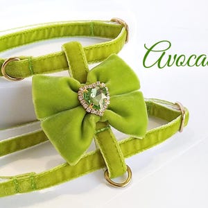 Avocado cat harness/Set- harness with leash/Velvet harness with bow heart crystal/Harness with a leash-Ammunition cat or small dog.