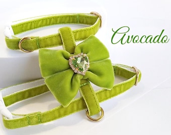 Avocado cat harness/Set- harness with leash/Velvet harness with bow heart crystal/Harness with a leash-Ammunition cat or small dog.