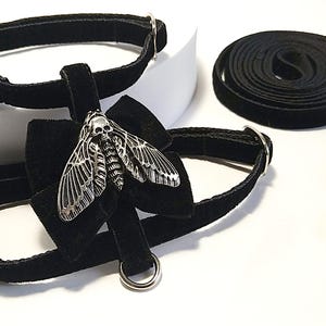 May include: Black velvet pet collar and harness set with a silver moth pendant. The set includes a matching leash with a metal clasp. The moth pendant has a skull design. The collar and harness have adjustable buckles.