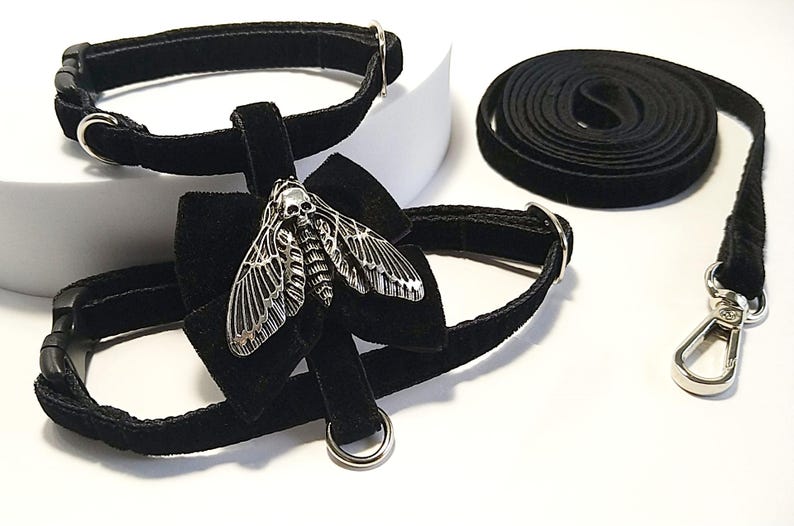 May include: Black velvet pet collar and harness set with a silver moth pendant. The set includes a matching leash with a metal clasp. The moth pendant has a skull design. The collar and harness have adjustable buckles.