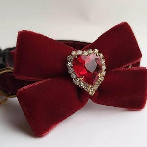 May include: A red velvet cat collar with a large, heart-shaped, red rhinestone in a gold setting. The collar has a gold bell.