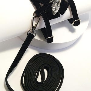 May include: Black pet harness with a silver moth accent. The harness features adjustable straps and metal hardware. A matching black leash is included, coiled at the base. The harness is designed for small pets.