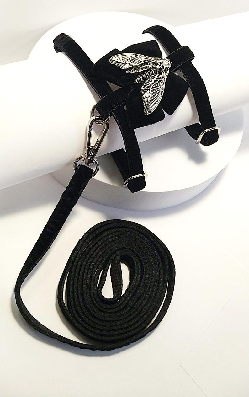 May include: Black pet harness with a silver moth accent. The harness features adjustable straps and metal hardware. A matching black leash is included, coiled at the base. The harness is designed for small pets.