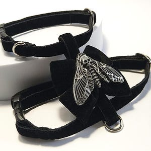 May include: Two black velvet pet collars. One collar is plain, the other features a black bow with a silver moth pendant. The moth pendant has a skull design on its head. Both collars have silver metal hardware.