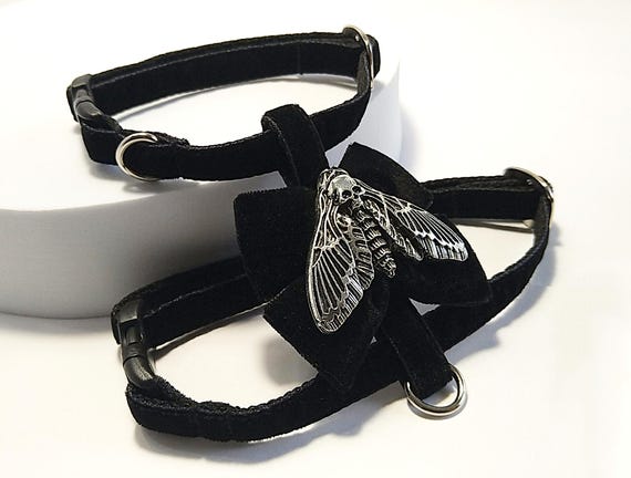 Witch cat harness: Death's head butterfly & Black Bow, Set velvet Leash and harness.