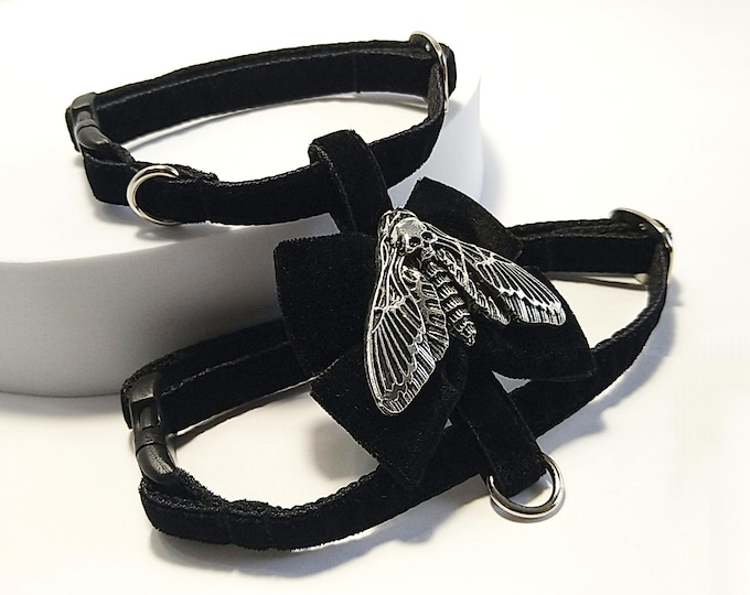 Witch cat harness: Death's head butterfly & Black Bow, Set velvet Leash and harness.