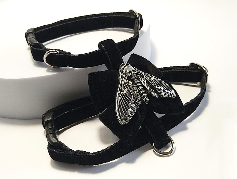 May include: Two black velvet pet collars. One collar is plain, the other features a black bow with a silver moth pendant. The moth pendant has a skull design on its head. Both collars have silver metal hardware.