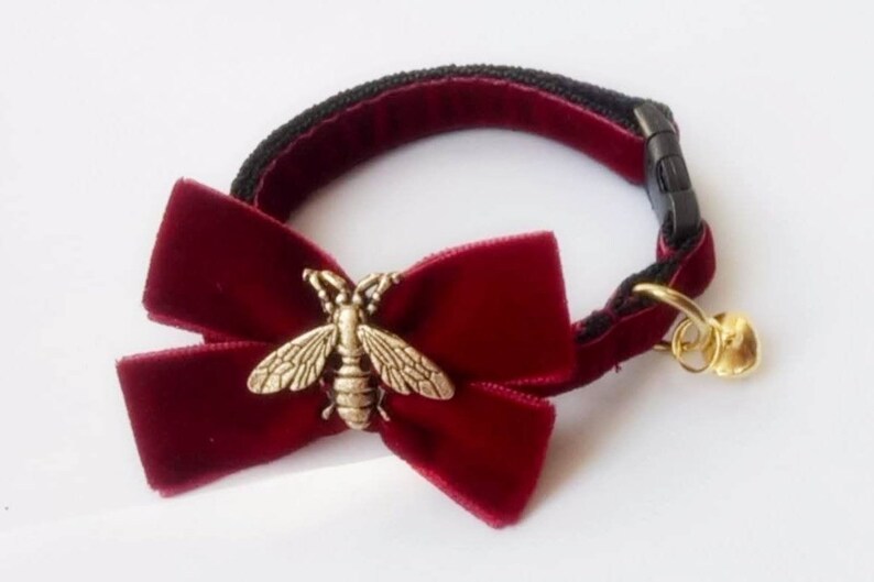 May include: A red velvet cat collar with a gold bee charm and a bell. The collar has a black adjustable buckle.