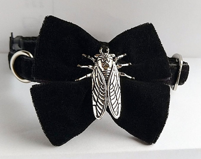 Death's head moth -cat collar.Gothic cat collar.Dog collar.Death Goth Punk .Cat Gothic Bow tie. Black Bow tie cat collar.Velvet bow black.