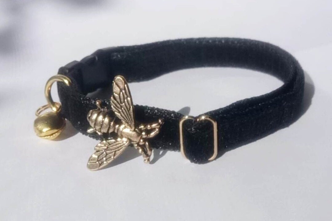 Velvet Black Cat Collars. Kitten Collars. Collar Puppy. Glamorous