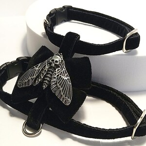 May include: Two black velvet pet collars. One collar features a silver-colored moth pendant with a skull design. Both collars have black plastic buckles and silver-colored metal hardware. The collars are displayed on a white surface.
