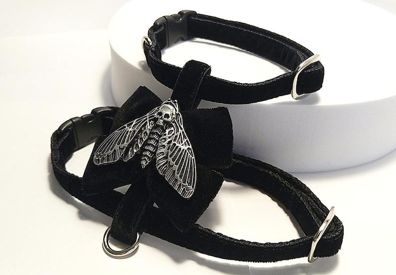 May include: Two black velvet pet collars. One collar features a silver-colored moth pendant with a skull design. Both collars have black plastic buckles and silver-colored metal hardware. The collars are displayed on a white surface.