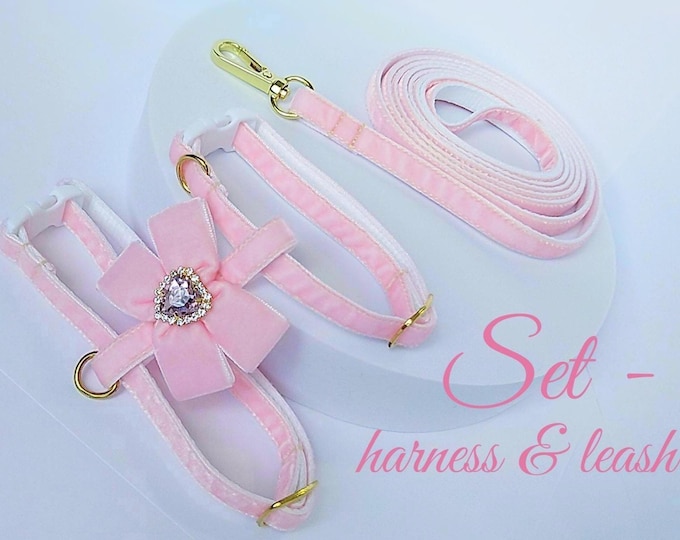 Light pink cat harness with velvet bow/Set - harness with leash/Mini dog cat/Harness with crystal heart/Equipment for walking with a cat