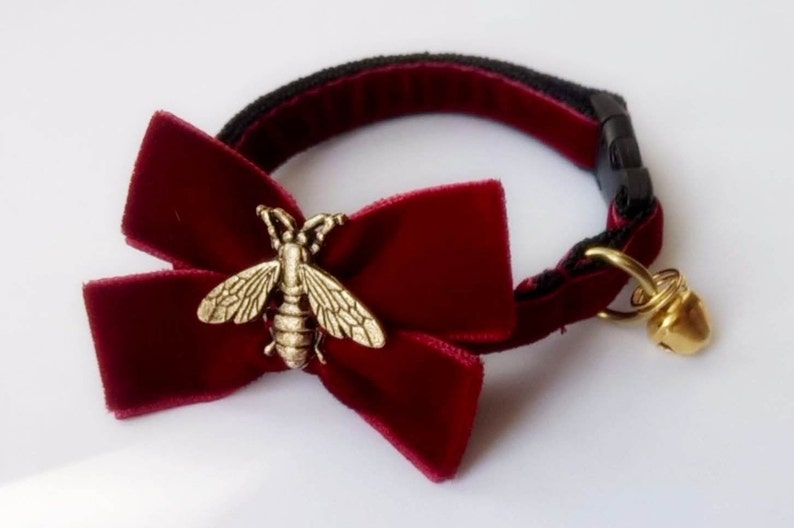 May include: A red velvet cat collar with a gold bee charm and a bell. The collar has a black adjustable buckle.