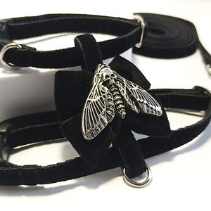 May include: Black velvet pet collar and leash set. The collar features a silver-colored moth pendant with a skull design. The set includes a matching leash with a metal clasp and a D-ring on the collar. The collar and leash are made of a soft, plush material.