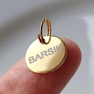 Mini Sgraved Haustier ID Marke: Kätzchen Welpe Halsband Anhänger 1/2 inch, 12 mm