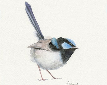 A4 print of original watercolour painting - Superb Fairy-Wren