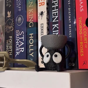 May include: A whimsical, black figurine with large white-rimmed eyes and a small bowl on its head. The figurine is perched on a white shelf in front of a row of books. The books have titles like "A Court of Thorns and Roses" and "Star Bringer".
