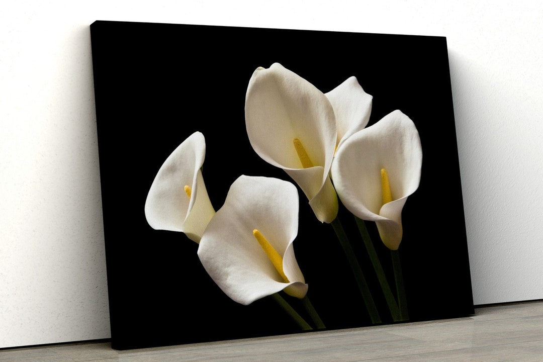 Calla Lily Wall Art Floral Lily Wall Decor White Flower Canvas Print Etsy