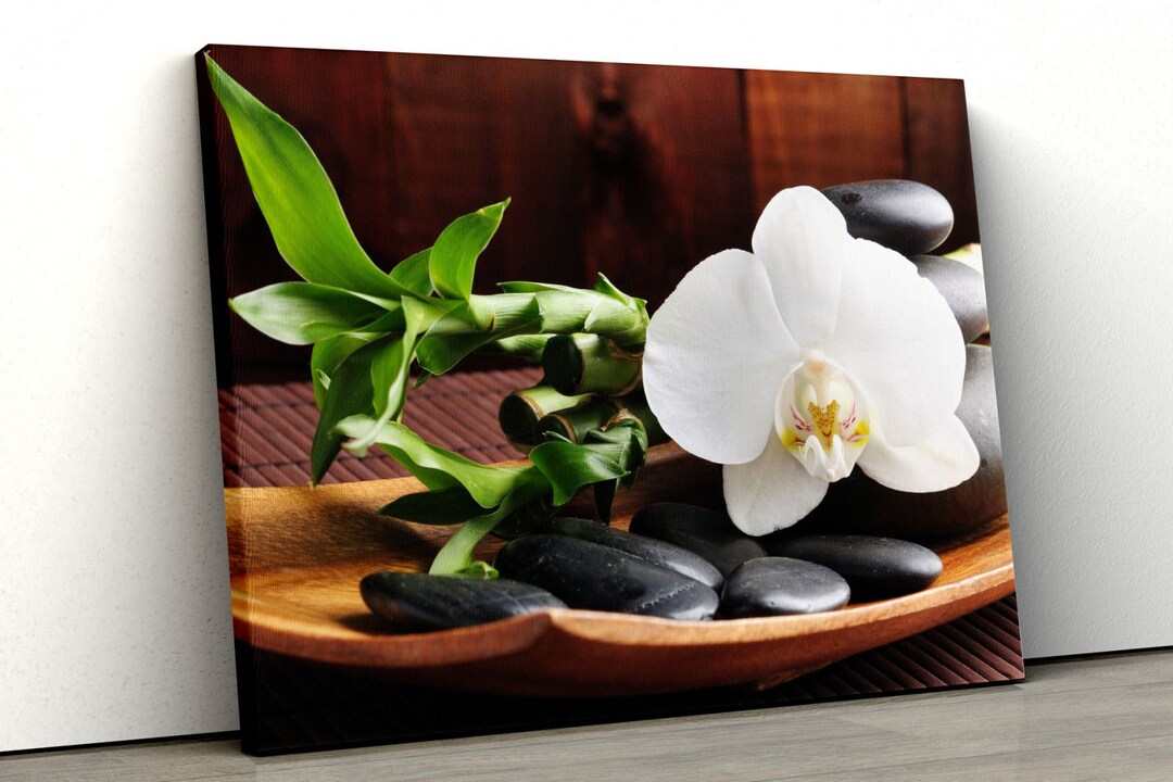 White Orchid Wall Art, Orchid Flower Canvas Print, Floral Photo Zen