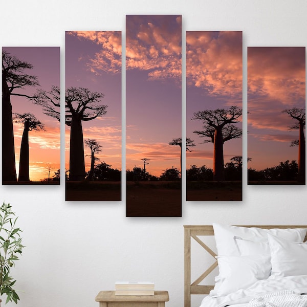 Tableaux sur toile Baobab Trees in Madagascar Wall Decor Sky Print